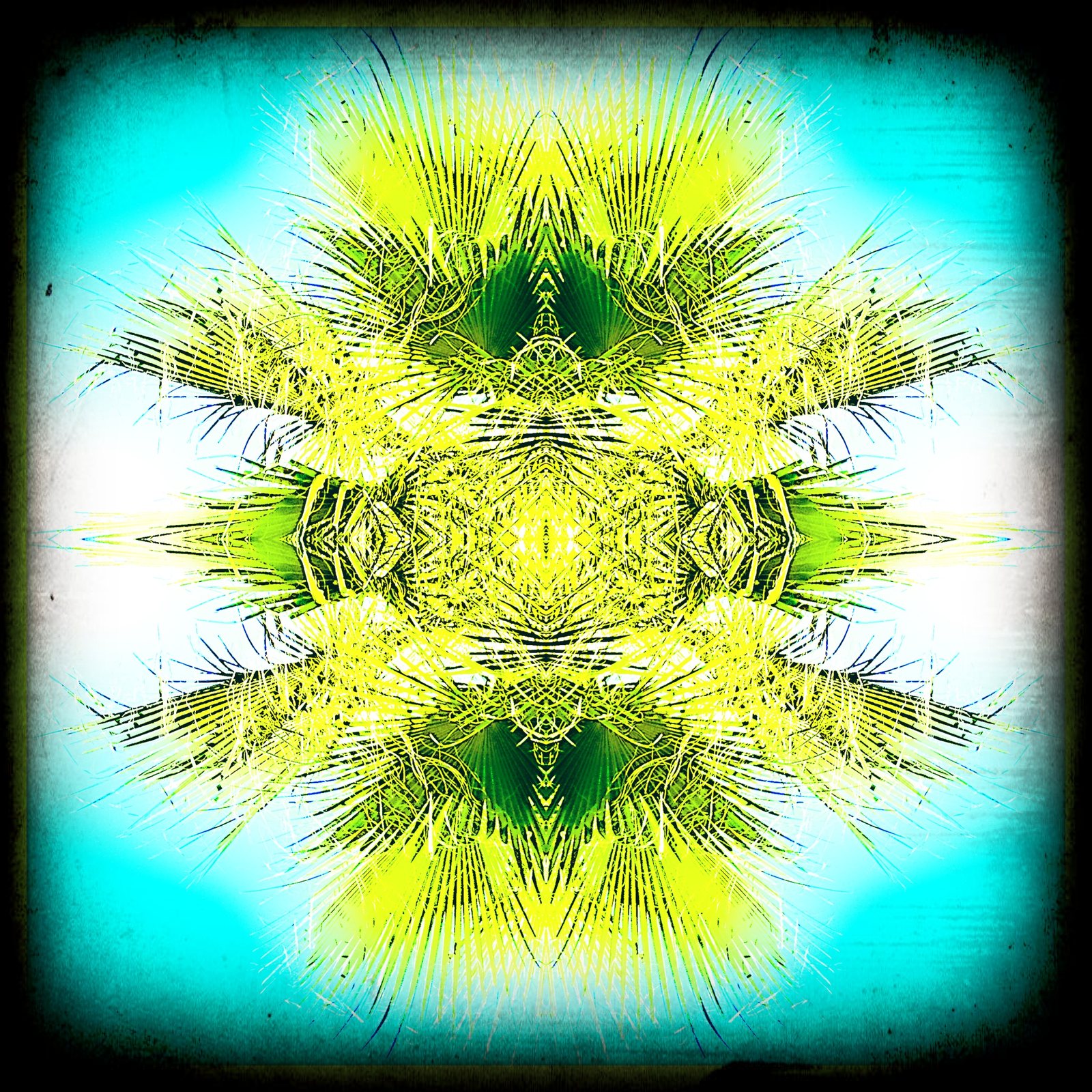 Mirrored Bloom artwork